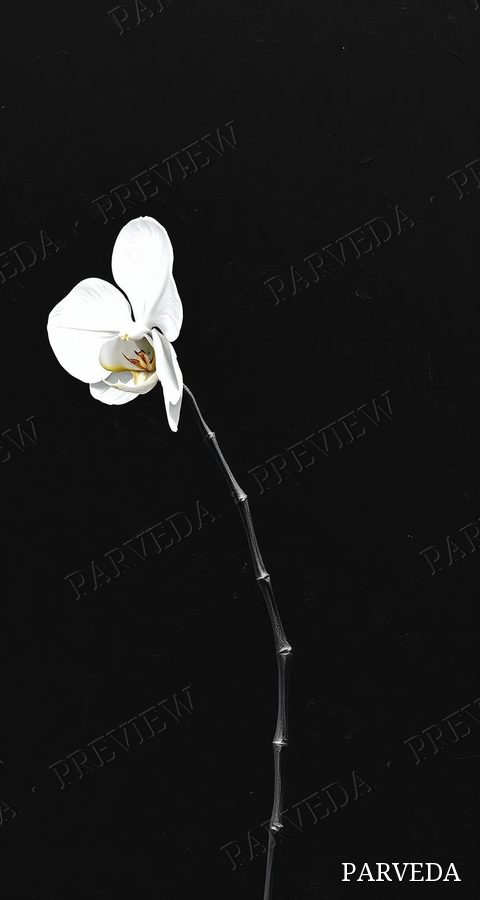 Black artwork 42
