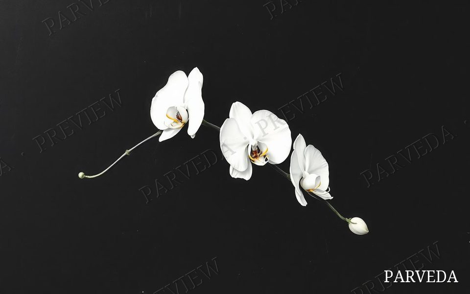 Black artwork 42